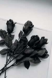 schwarze Rosen
